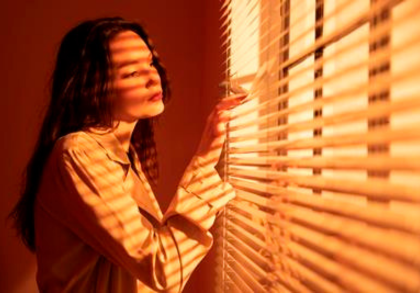 Roller Shades Blinds